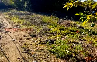 Парцел в Пазарджик, с. Огняново