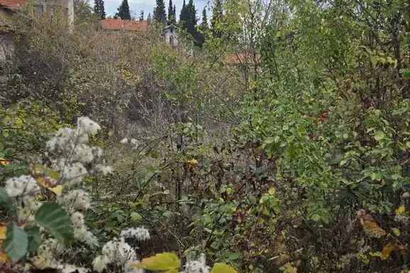 Plot in Oblast Pazardjik, Patalenica
