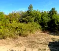Снимка 2 — Парцел в Пазарджик, с. Паталеница