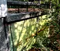 Снимка 4 — Парцел в Пазарджик, с. Паталеница