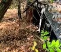 Снимка 5 — Парцел в Пазарджик, с. Паталеница