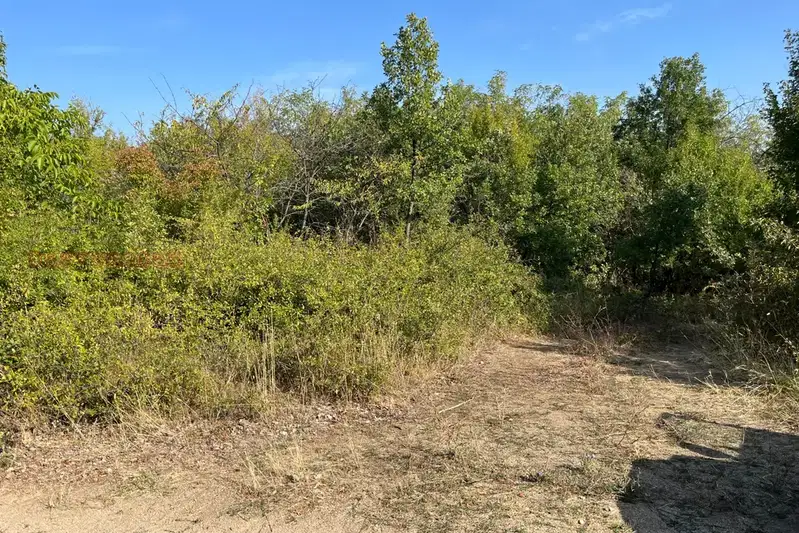 Plot in Oblast Pazardjik, Patalenica