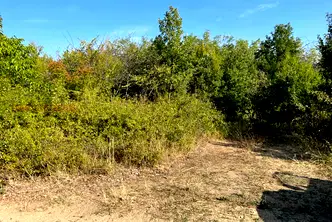 Парцел в Пазарджик, с. Паталеница