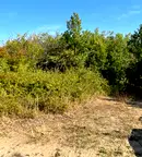 Парцел в Пазарджик, с. Паталеница