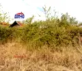Снимка 3 — Парцел в Пазарджик, с. Паталеница