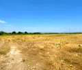 Снимка 2 — Парцел в Пазарджик, с. Варвара