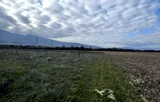 Парцел в Пазарджик, Септември