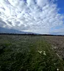 Парцел в Пазарджик, Септември