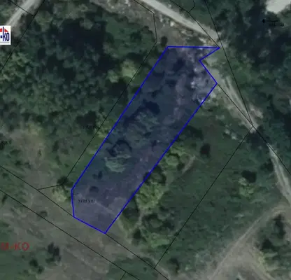 Снимка 3 — Парцел в Пазарджик, с. Виноец