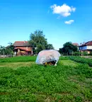 Парцел в Пазарджик, с. Звъничево