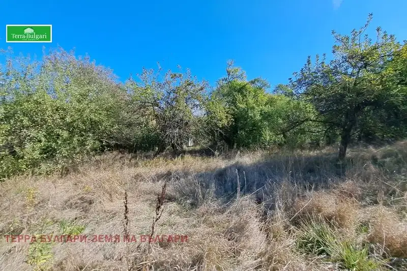 Plot in Oblast Pernik, Vitanovci