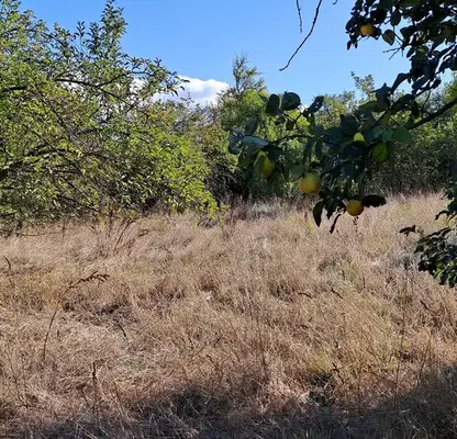 Photo 2 — Plot in Oblast Pernik, Batanovci