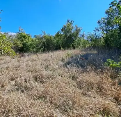 Photo 5 — Plot in Oblast Pernik, Batanovci