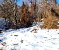 Снимка 5 — Парцел в Перник, Радомир