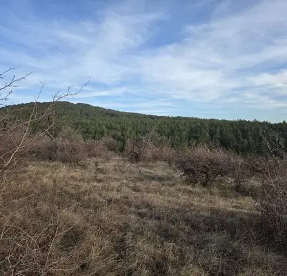 Снимка 5 — Парцел в Перник, Радомир