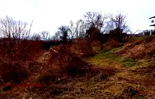 Парцел в Перник, Радомир