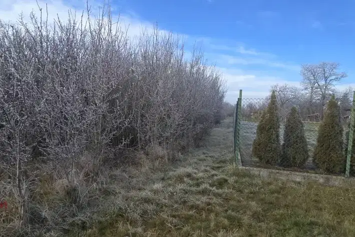 Plot in Oblast Pernik, Boboraci