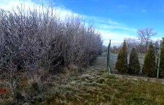 Парцел в Перник, с. Бобораци