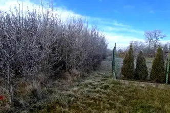 Парцел в Перник, с. Бобораци