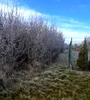 Парцел в Перник, с. Бобораци