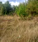 Парцел в Перник, с. Бобораци