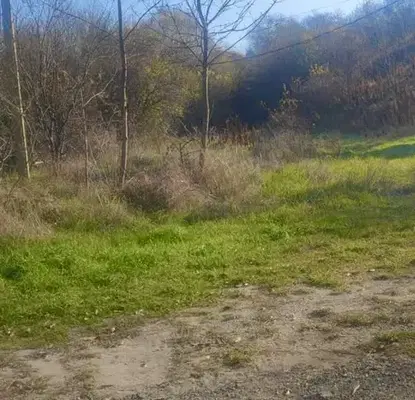 Photo 2 — Plot in Oblast Pernik, Bogdanov Dol