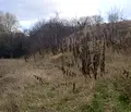 Снимка 2 — Парцел в Перник, с. Богданов дол
