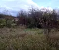 Снимка 3 — Парцел в Перник, с. Богданов дол