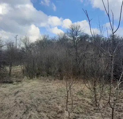 Снимка 4 — Парцел в Перник, с. Богданов дол