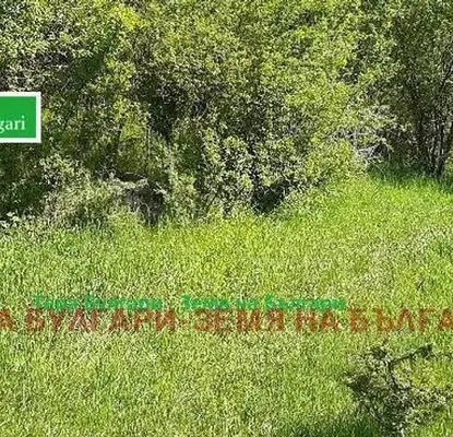 Photo 2 — Plot in Oblast Pernik, Bosnek