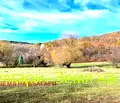 Снимка 2 — Парцел в Перник, с. Боснек