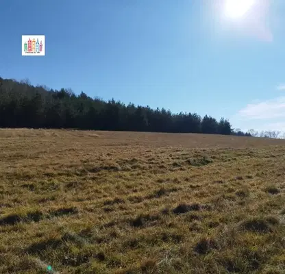 Photo 4 — Plot in Oblast Pernik, Bosnek
