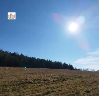 Photo 5 — Plot in Oblast Pernik, Bosnek