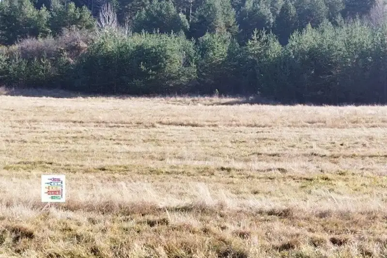 Plot in Oblast Pernik, Bosnek