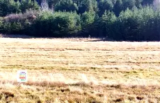 Парцел в Перник, с. Боснек