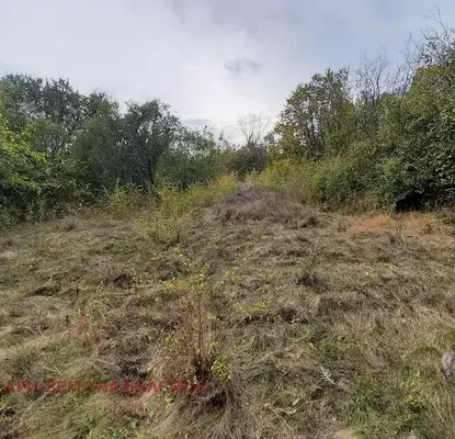 Photo 2 — Plot in Oblast Pernik, Cherna Gora