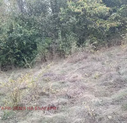 Photo 3 — Plot in Oblast Pernik, Cherna Gora