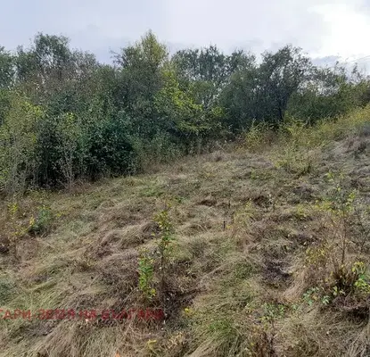 Photo 4 — Plot in Oblast Pernik, Cherna Gora