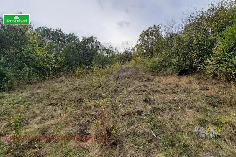Plot in Oblast Pernik, Cherna Gora
