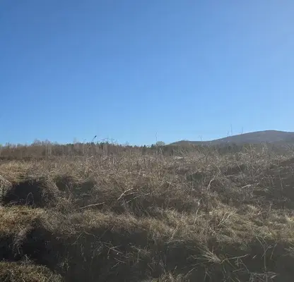 Photo 3 — Plot in Oblast Pernik, Cherna Gora