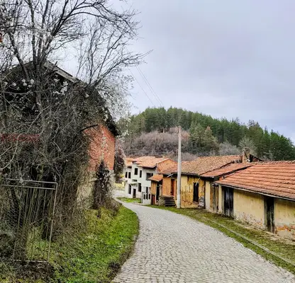 Снимка 5 — Парцел в Перник, с. Дивля