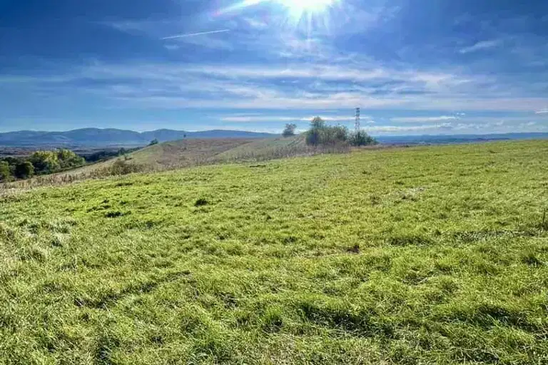 Plot in Oblast Pernik, Divotino