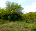 Снимка 2 — Парцел в Перник, с. Дивотино