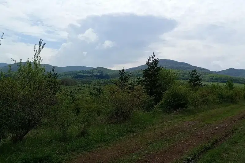 Plot in Oblast Pernik, Divotino