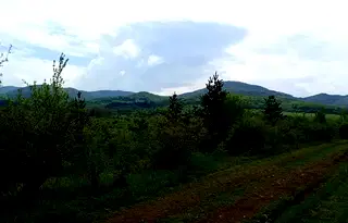 Парцел в Перник, с. Дивотино