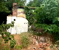 Снимка 2 — Парцел в Перник, с. Дивотино