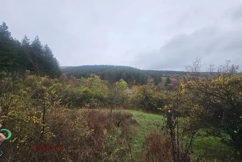 Plot in Oblast Pernik, Dolna Dikanya