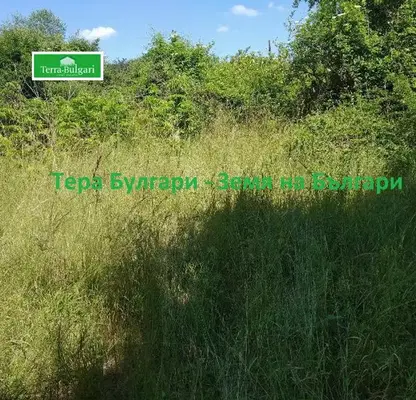 Photo 2 — Plot in Oblast Pernik, Dolni Romanci