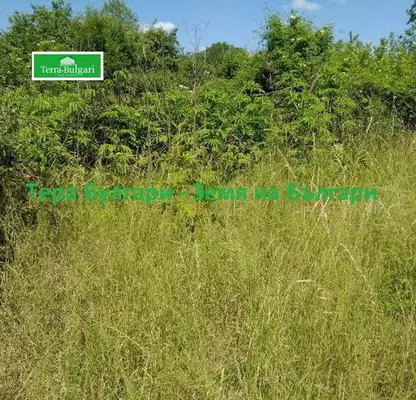 Photo 3 — Plot in Oblast Pernik, Dolni Romanci