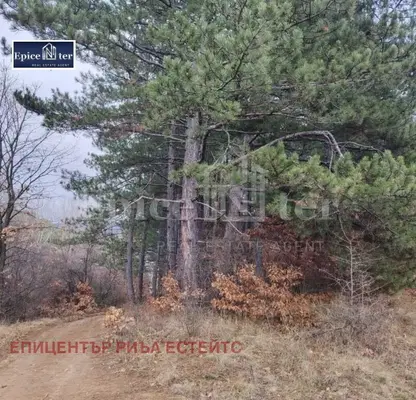 Photo 2 — Plot in Oblast Pernik, Dragichevo